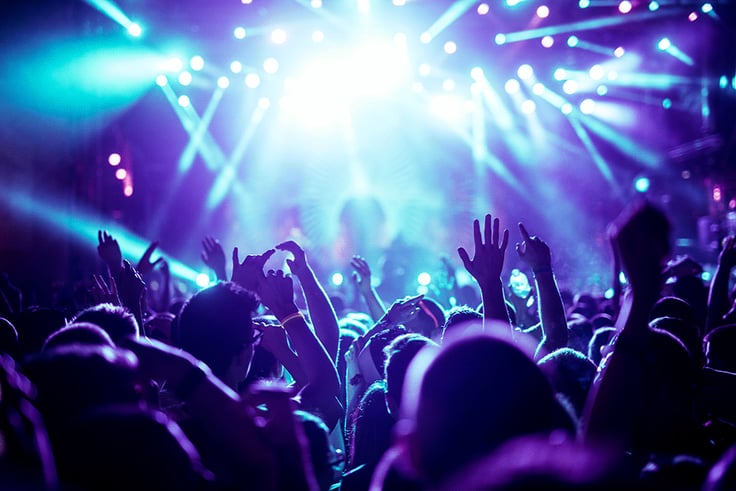 Crowd at concert